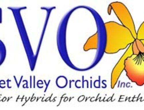 Sunset Valley Orchids