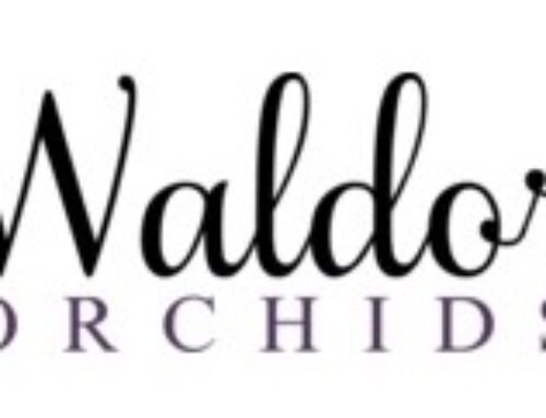 Waldor Orchids