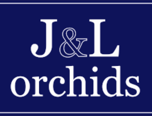 J&L Orchids